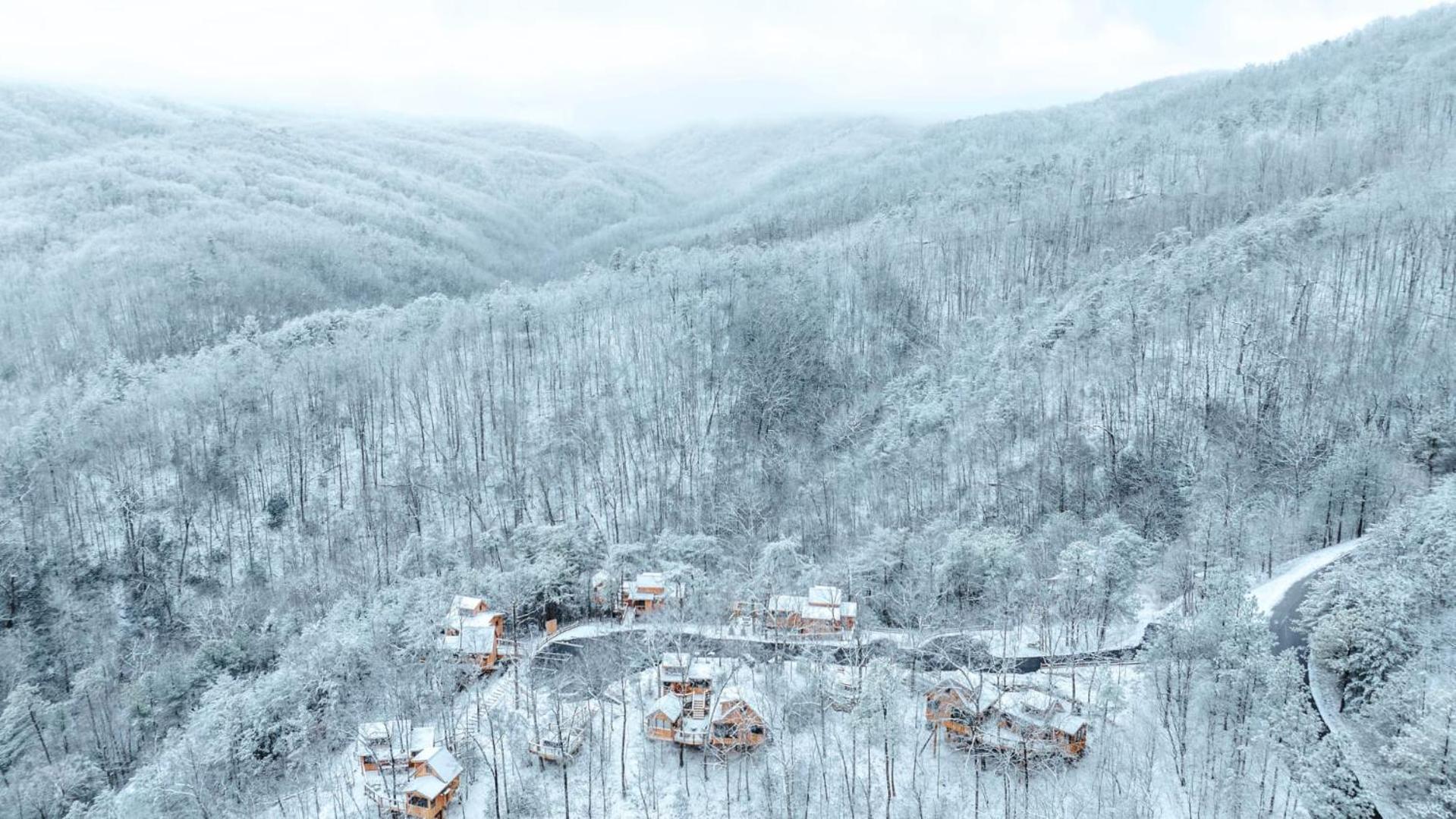 The Moosewood In Treehouse Grove At Norton Creek Gatlinburg Exterior foto